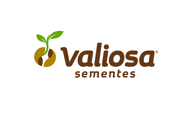 15-logo-valiosa